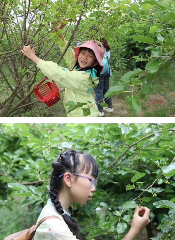 微信截圖_20240614234952.png