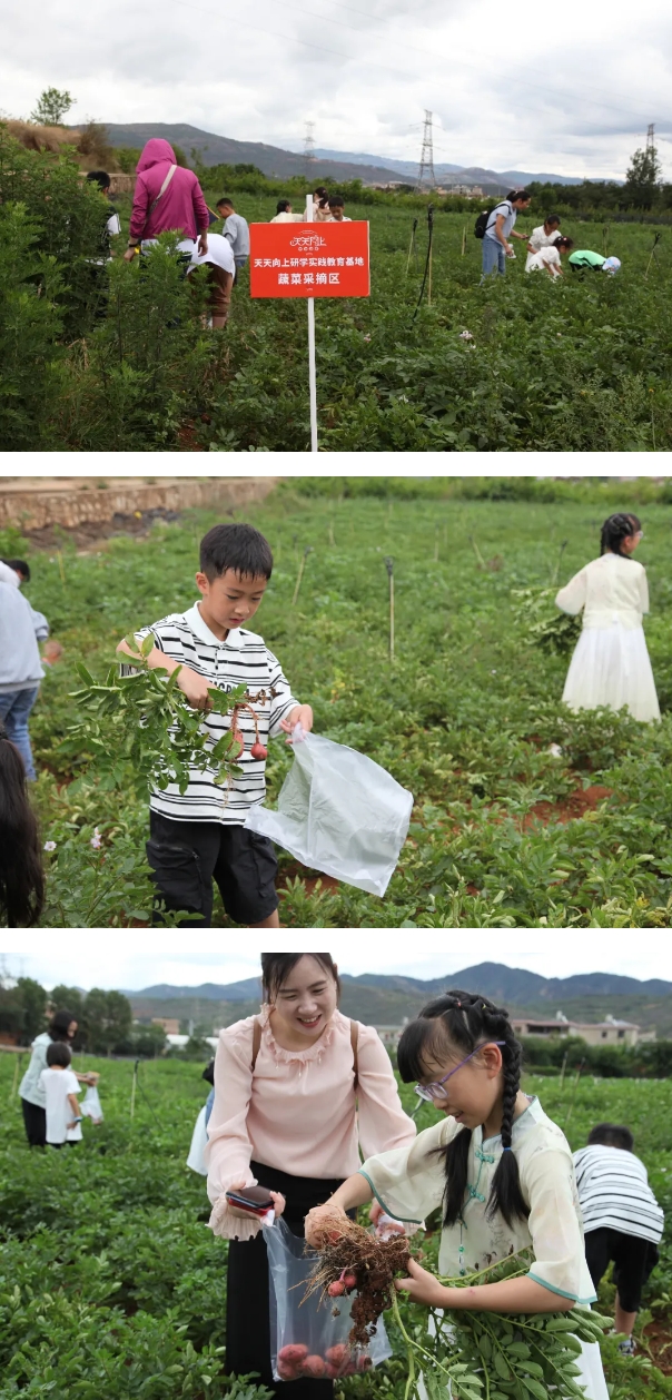 微信截圖_20240614235012.png