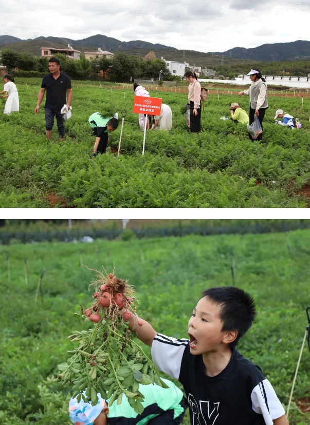 微信截圖_20240614235027.png