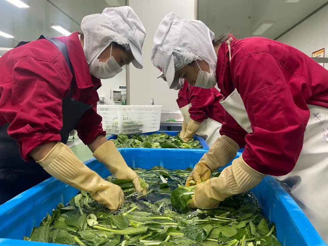 【食品安全】各校工作組及家長(zhǎng)代表走進(jìn)天天向上檢查食品安全工作(圖19)