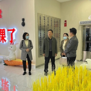 昆明醫(yī)科大學(xué)紀(jì)委書記陳文帶隊(duì)赴天天向上開展訪企拓崗活動(dòng)
