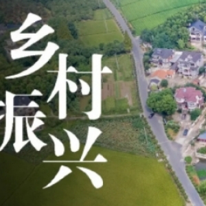 鄉(xiāng)村振興——一張菜單一盤棋